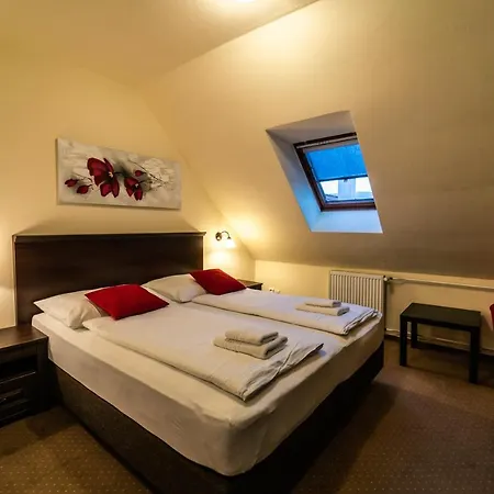 Hotel Koruna 3*